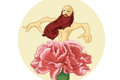 Bearded-Carnation